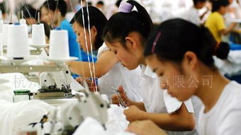 全程影像记录与制作服务 为您呈现生产基地的每个精彩瞬间